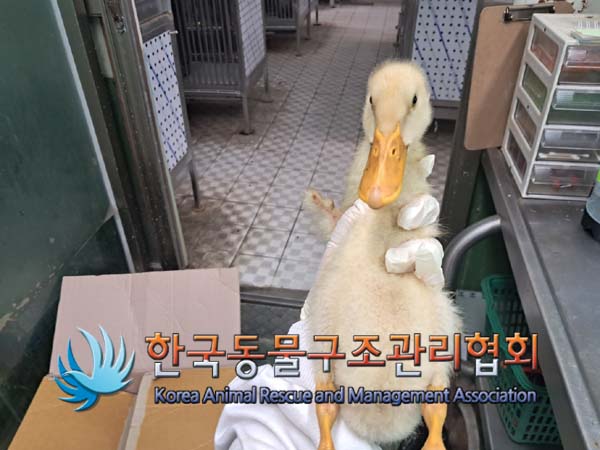 한국동물구조관리협회_411306202400612